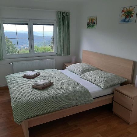 Naproti Klinovci Villa Jáchymov Kültér fotó
