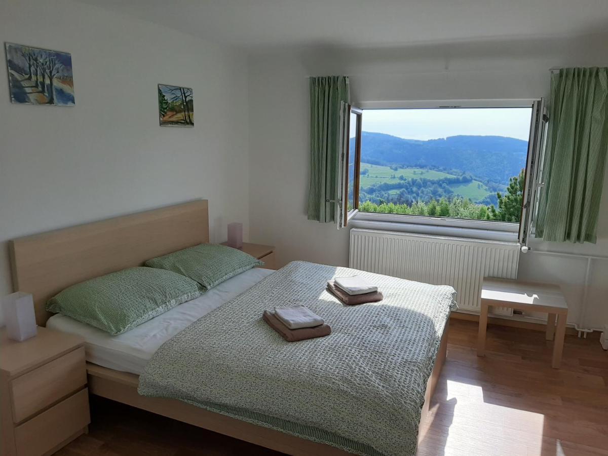 Naproti Klinovci Villa Jáchymov Kültér fotó